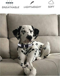Dog Collar for Small Dogs - L / pink1 - image 4