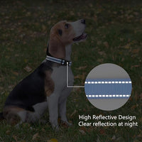 Reflective Dog Collar Padded with Soft Neoprene Breathable Quick Release Basic Dog Collars for Puppy Small Dogs Boy Girl Blue