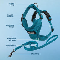 Voyager Escape-Proof Step-in Harness & Leash, Moss Green - Turquoise / S (Chest: 15 - 18") - image 3