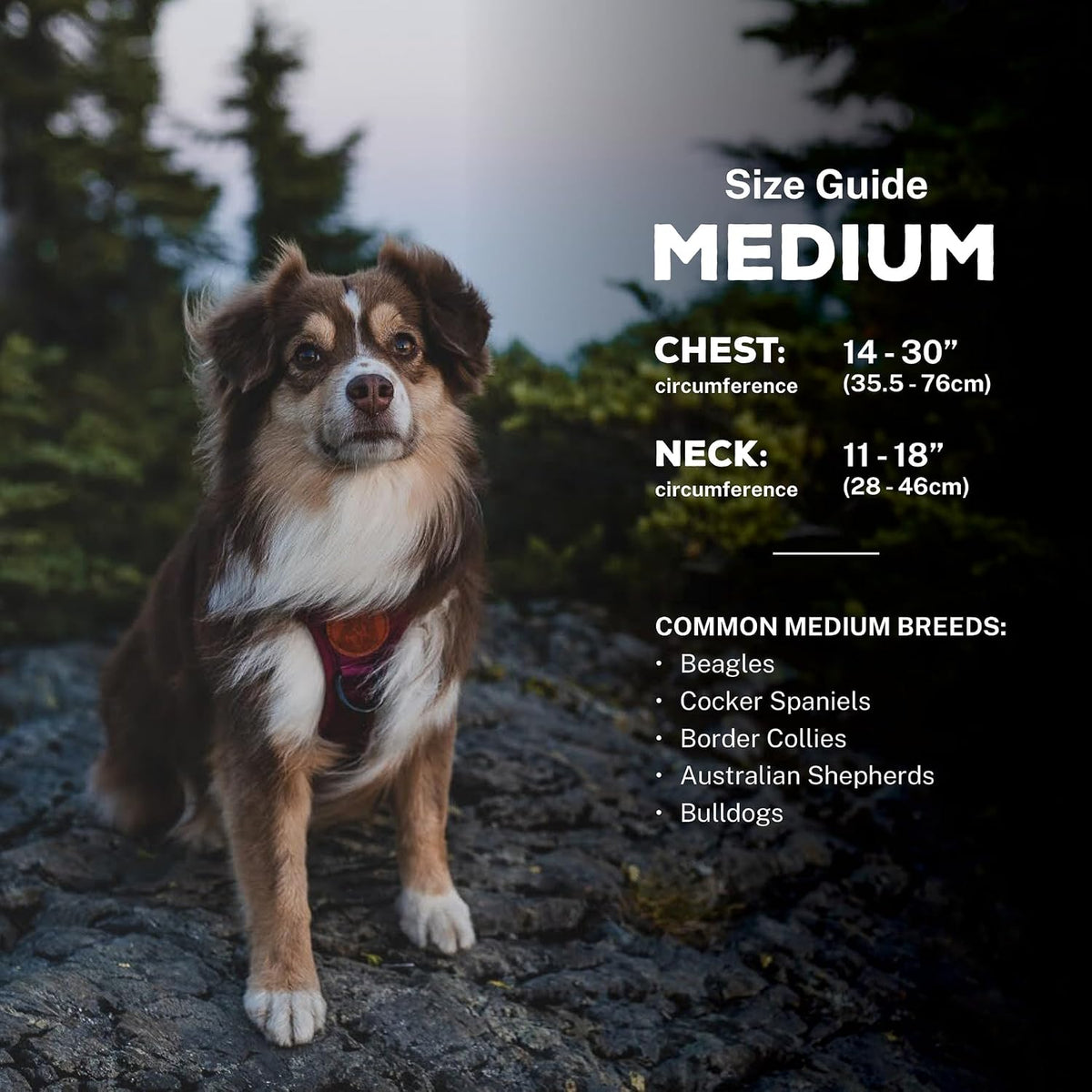 Wilderdog Lightweight Dog Harness with Reflective Straps - Ember / Medium - image 3