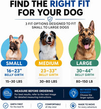 ShawnCo Dream Walk Pro No-Pull Dog Harness – Essentials for Dogs - Large / Electric Blue - image 4