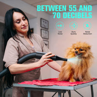 Pet Dryer, 5.2HP/3800W Pet Grooming Dryer with Adjustable Speed and Temperature Control Dog Blow - image 4