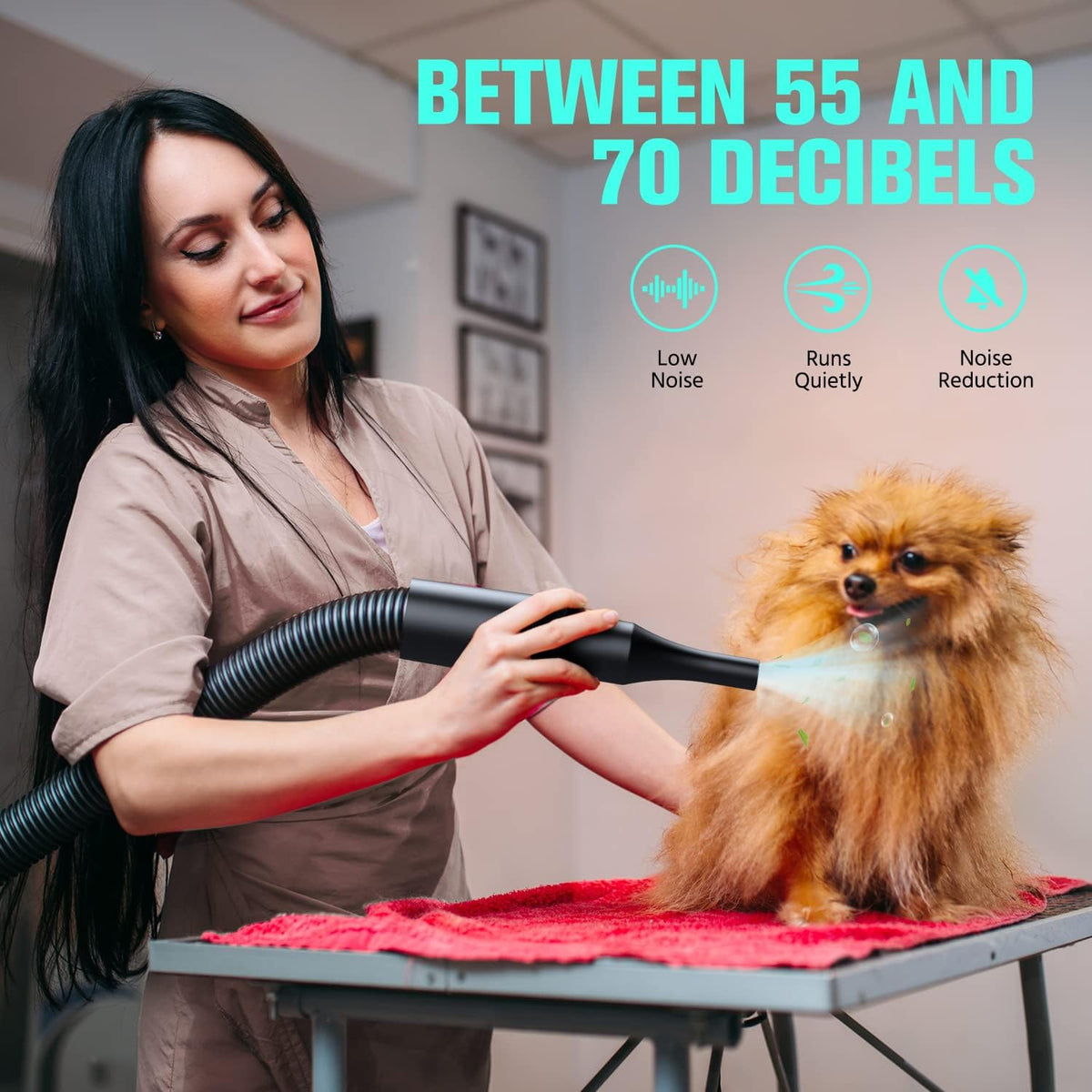 Pet Dryer, 5.2HP/3800W Pet Grooming Dryer with Adjustable Speed and Temperature Control Dog Blow - image 4