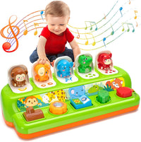 Duchong Pop Up Toys for 1 Year Old Boy Girls