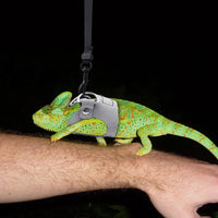 3PCS Bearded Dragon Harness and Leash Set - Grey - image 4