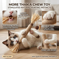 Cat Toys 12PCS Mix Catnip Chew Rope Silvervine Stick for Indoor Cat – Essentials for Cats - MIX-3PACK - image 2
