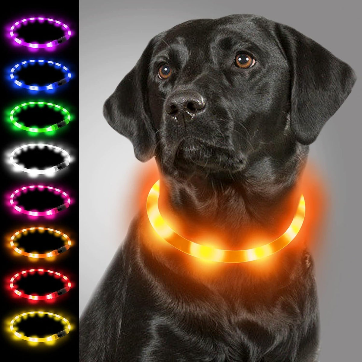 Joytale Light Up Dog Collar, LED Silicone Cut-to-Fit Rainproof - 8-27.5 Inch (Pack of 1) / Orange