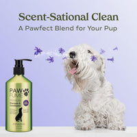 PAWFUME Deshedding Dog Shampoo and Conditioner, Show Dog - Shampoo & Conditioner Royal Lavander / Pack of 4 - image 4