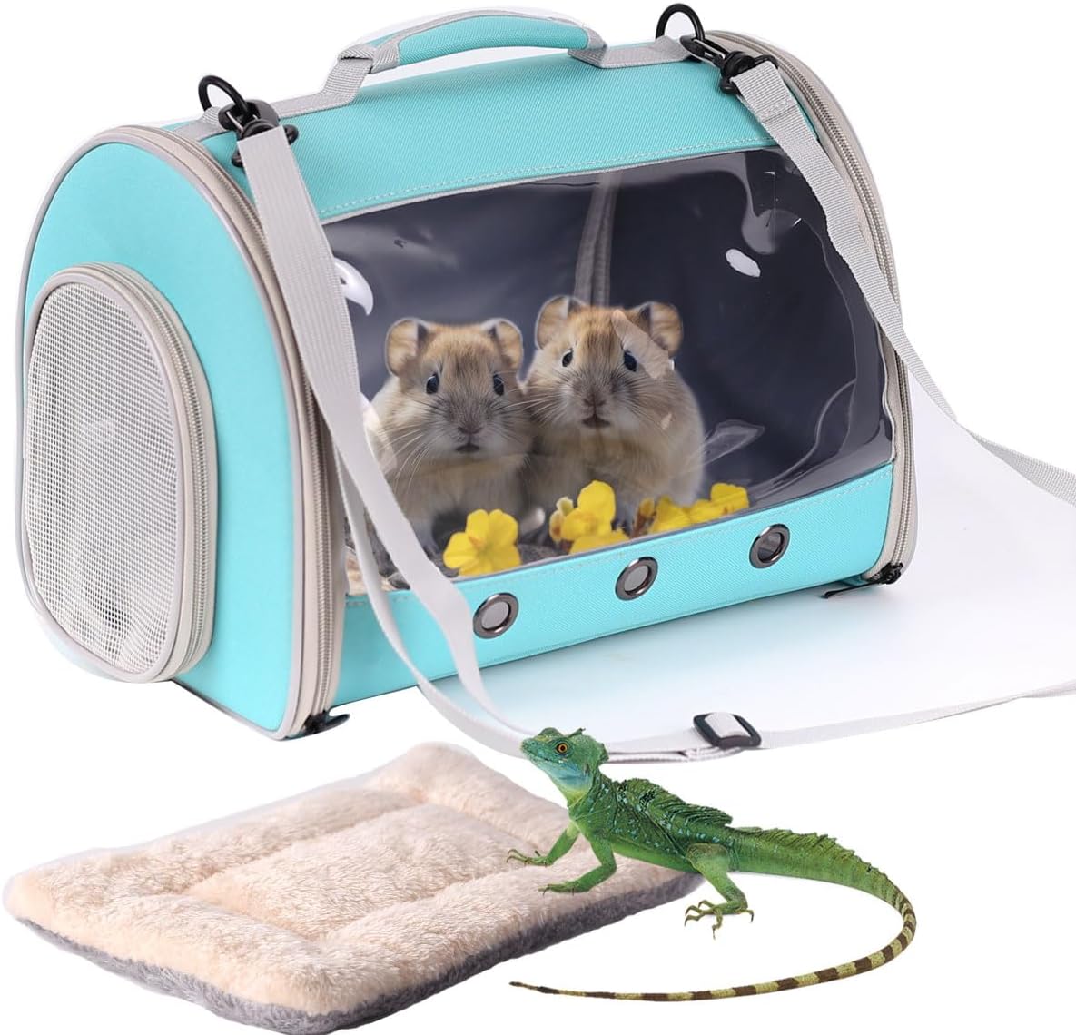 Bearded Dragon Travel Carrier Backpack, Lizard Backpack Carrier - Green / TPU Carrier+MAT