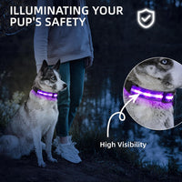 Super Bright LED Dog Collar, Waterproof Light up Collars – Essentials for Dogs - S (Width:0.6",Length:10" - 14.5") / Purple - image 2