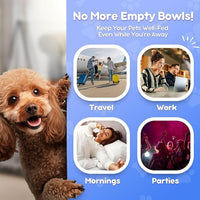 Flexzion Gravity Pet Feeder Food Dispenser (6-12 lb Size) Automatic Replenish Dry Food Storage Container Bowl for Small Medium Breed Dog Cat Animal Feeding Watering Fountain Supplies
