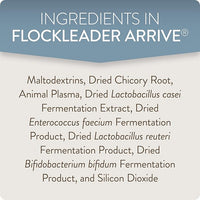 Arrive, Daily Probiotic & Prebiotic Poultry Supplement for Young Chickens 0-8 Weeks Old, 8 oz