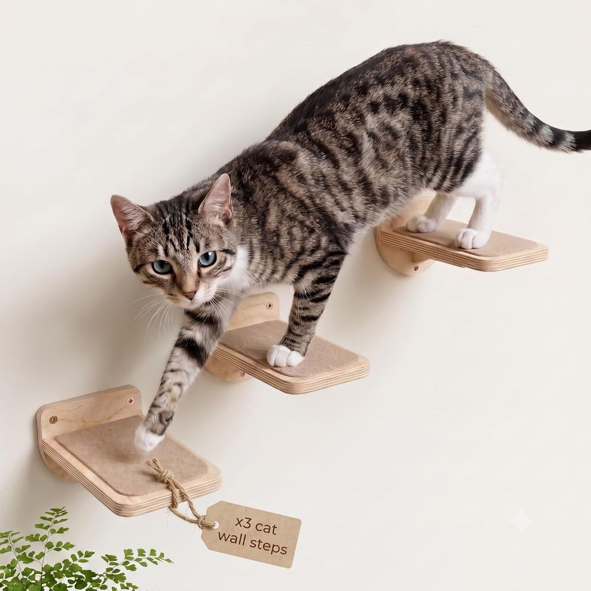 INICIO Cat Wall Steps, Natural Wood - Natural