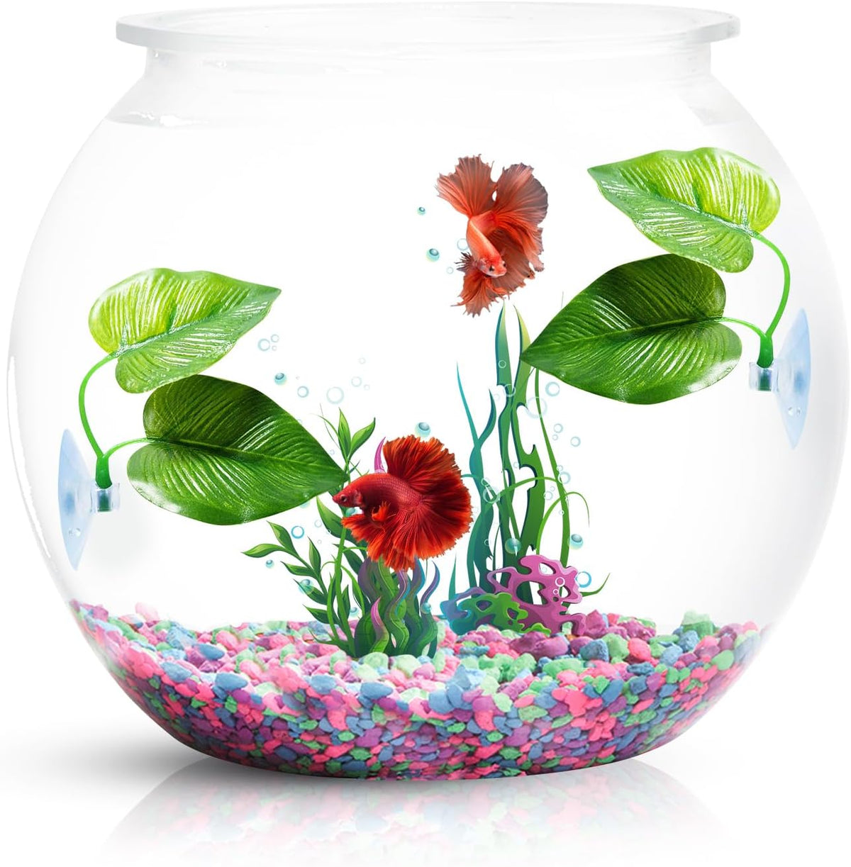 CousDUoBe 2 Pack Betta Fish Leaf Pad Improves Betta's Health - 1 Pack - image 4