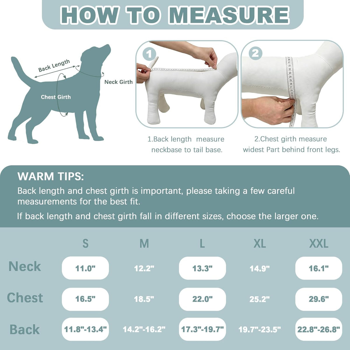 Female Dog Recovery Suit After Spay – 3 Patterns, S–2XL
