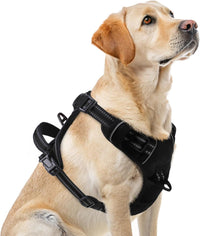 PUPTECK No Pull Halloween Dog Harness for Large - Black / Large / Harness Only