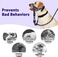 Soft Dog Head Collar, Patented Padded No Pull Training Head Halter – Essentials for Dogs - Purple / M (Snout 8"-11") - image 3