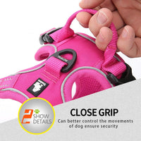 Truelove No Pull Dog Harness with Easy Control Handle and 2 Leash - X-Large / Fuchsia - image 4