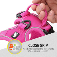 Truelove No Pull Dog Harness with Easy Control Handle and 2 Leash Attachments,Reflective Adjustable Pet Vest