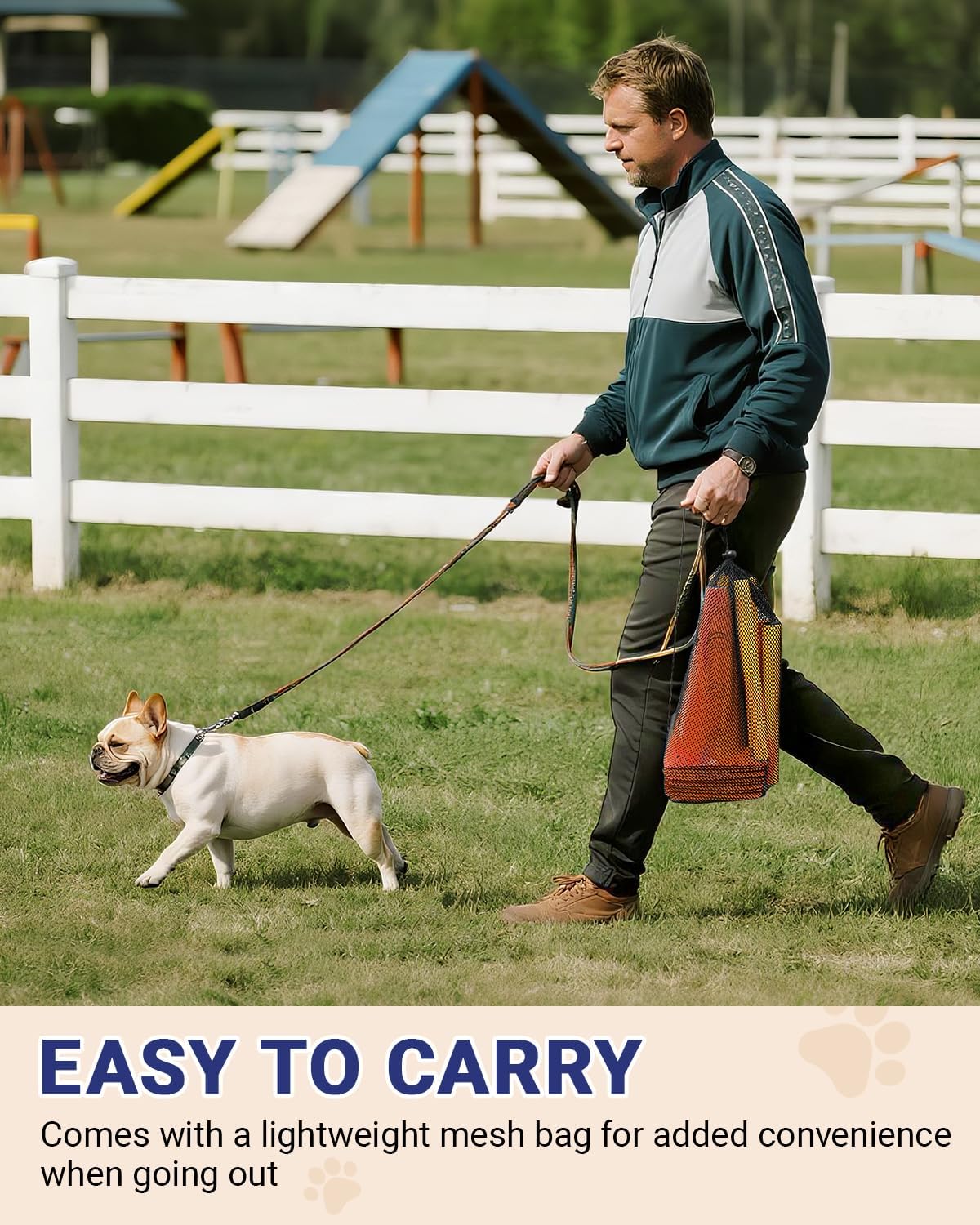 Dog Agility Course Backyard Set - 12 IN / Orange - image 4