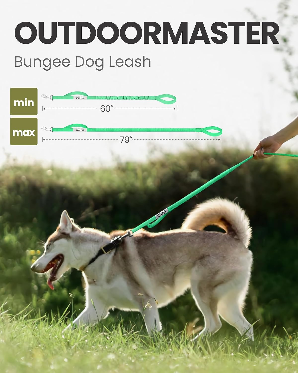 OutdoorMaster Bungee Dog Leash - Mint Green / Max: 6'7" - image 3