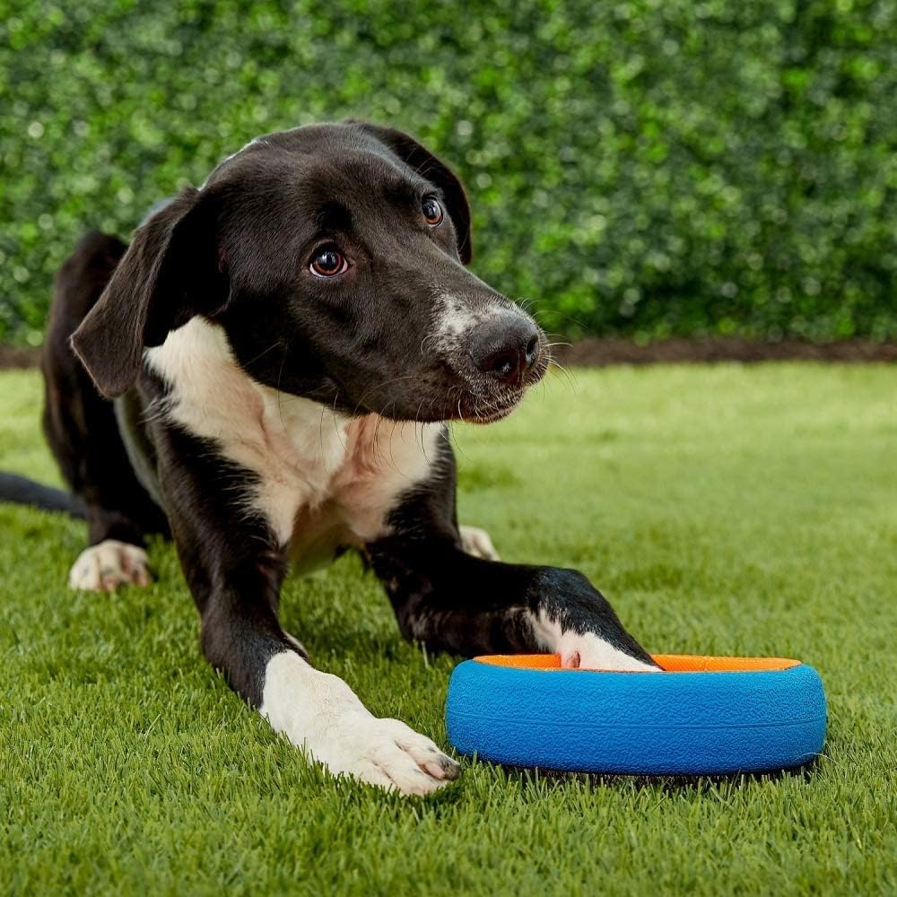 Chuckit! Fetch Wheel Outdoor Dog Toy, For Large Breeds - Fetch Wheel / Small / Multi - image 3
