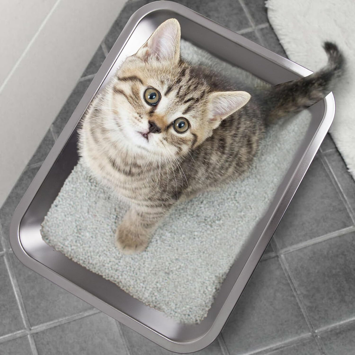 Stainless Steel Litter Box 2 Pack，Metal Litter Box - 2packs-M-4" H - image 3