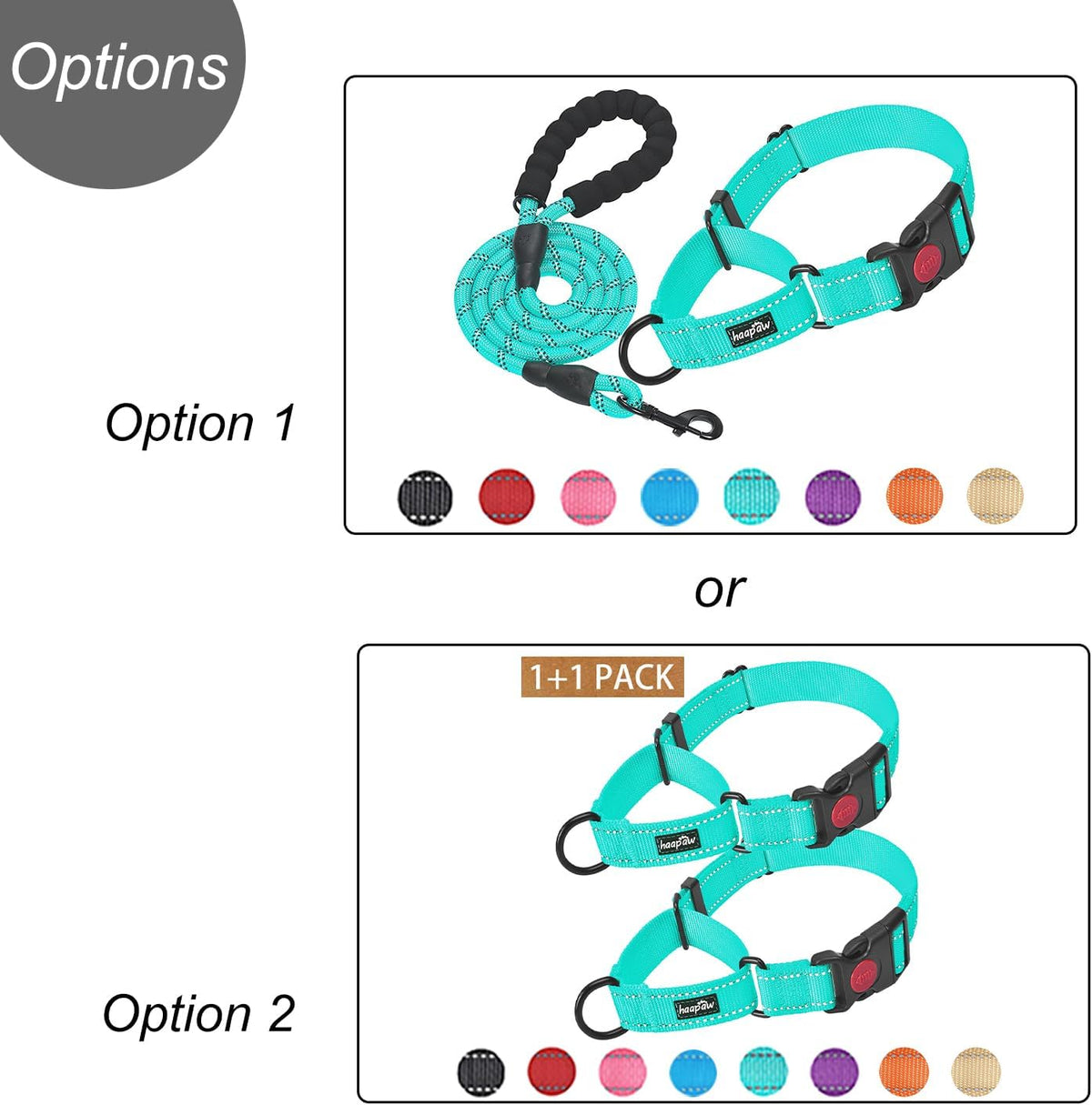 Haapaw Escape-Proof Martingale Dog Collar - Turquoise / M / 1 Collar + 1 Leash - image 2
