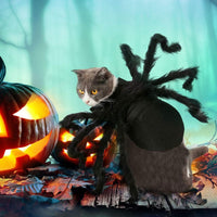 Halloween Spider Costume for Dog Cat - Medium - image 2