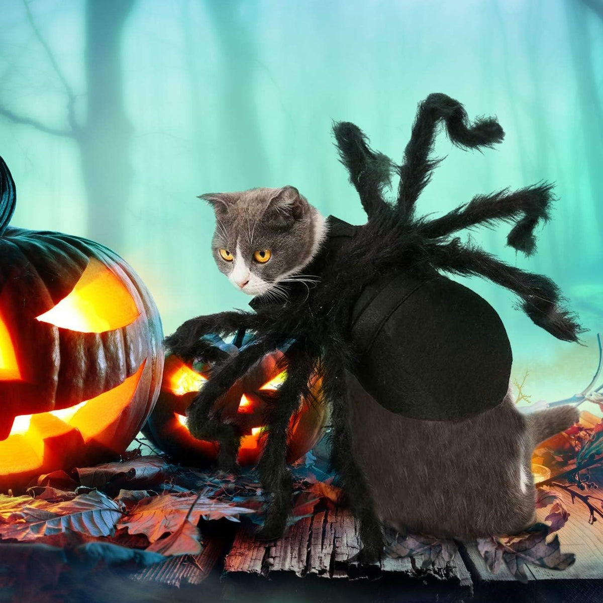 Halloween Spider Costume for Dog Cat - Medium - image 2