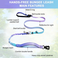 Heavy Duty Hands Free Dog Leash with Quick Release Carabiner - Aurora Purple - image 2