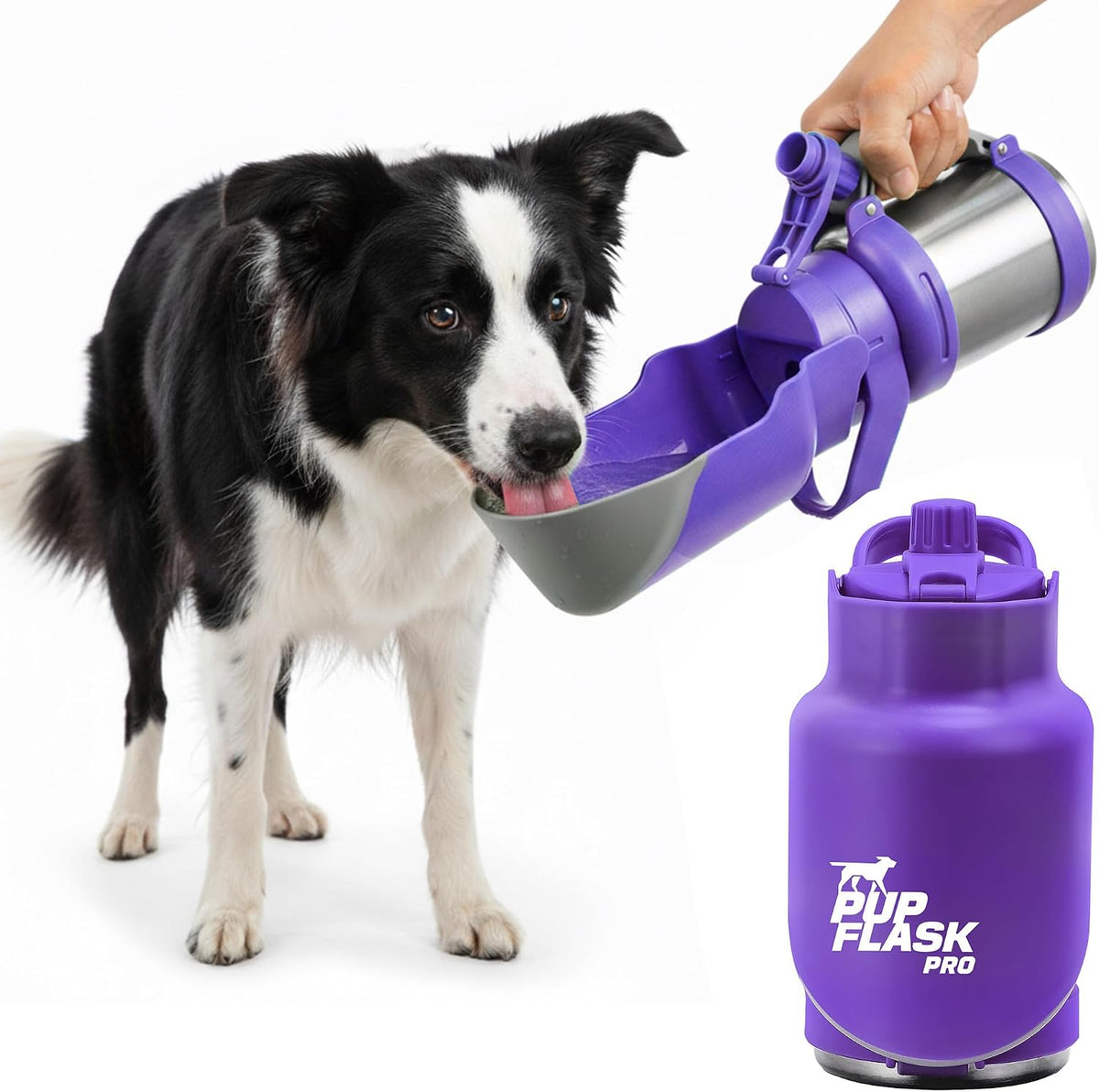 PupFlask Pro Portable Insulated Dog Water Bottle - Ultra Violet / 30 Ounce