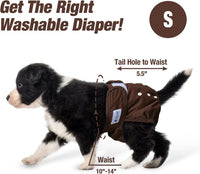 Pet Soft Washable Female Diapers Female Dog Diapers - Deep Set / Small:10''-14'' - image 2