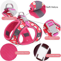 Step in Dog Harness No Pull Flower Adjustable Soft Mesh Harness – Essentials for Dogs - XS(neck:9.5"-10.5",chest:11.5"-13.5") / Rose red - image 4