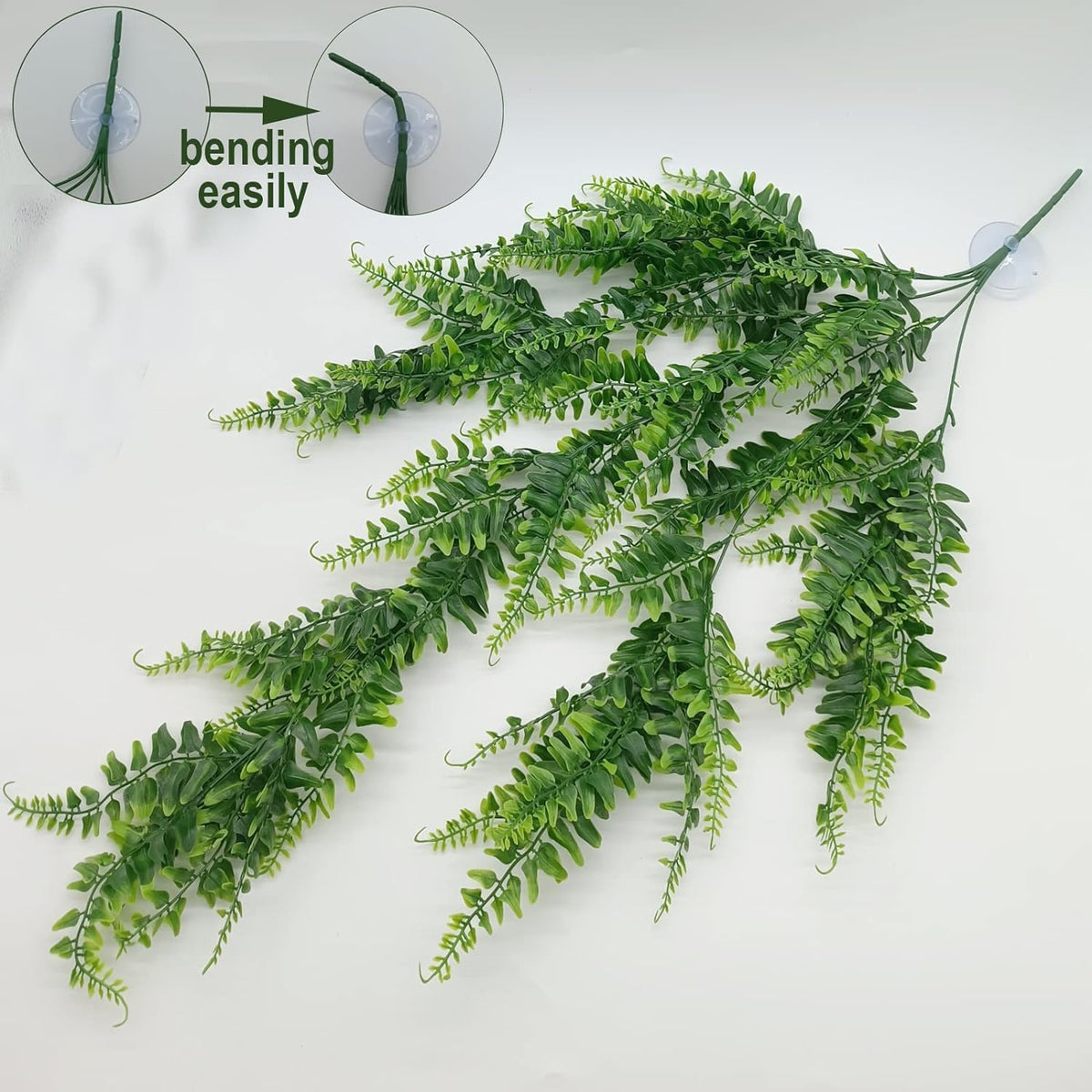 Reptile Plants for Bearded Dragon Tank Accessories - Group Abn - image 3