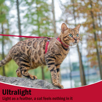 PUPTECK Adjustable Cat Harness and Leash Set Escape Proof Kitten - Medium / Red - image 4