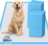 Enormous 37"x 54" Dog Training Potty Pads - 36"x36" Blue
