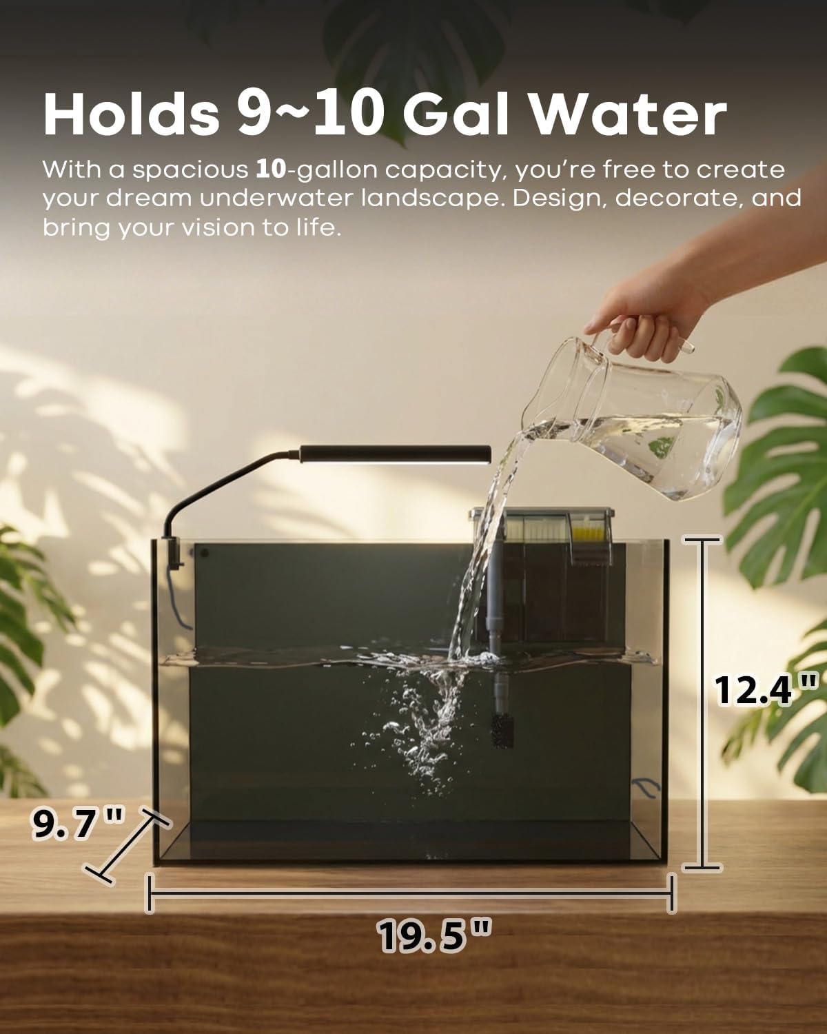 10 Gallon Aquarium Set Glass Fish Tank - 10 Gallon - image 3
