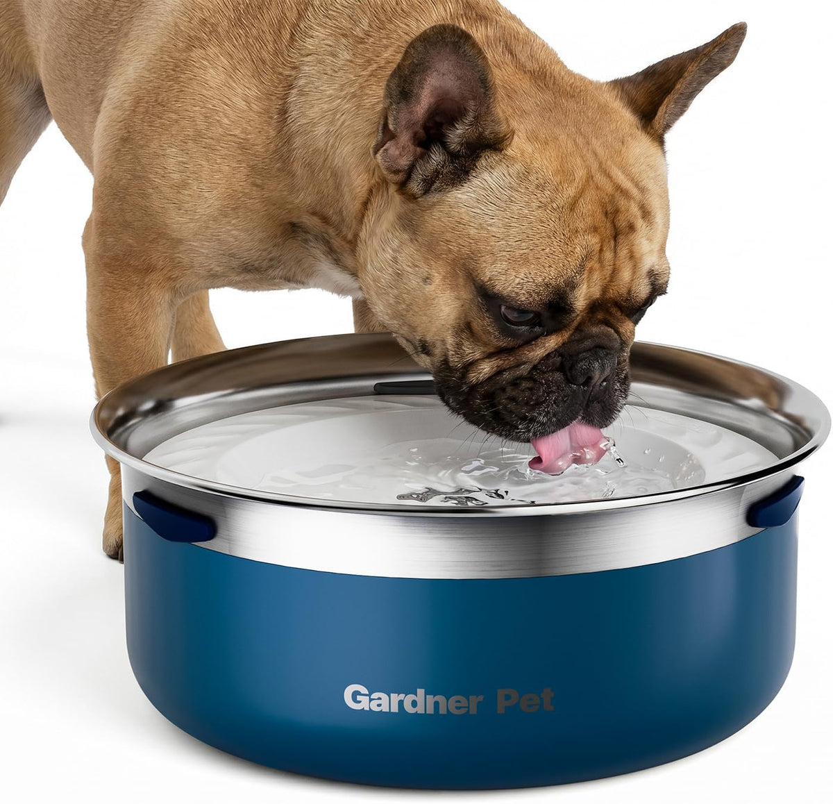 Gardner Pet Dog Bowls 1 Gallon Stainless Steel Dog Water Bowl – Essentials for Dogs - Blue / Small (2L)