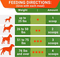 STRELLALAB Pumpkin Powder for Dogs - 16.2oz Powdered High Fiber Supplement and Stool Softener - Upset Stomach, Food Sensitivity - Improve Digestion - 16.2oz Powder