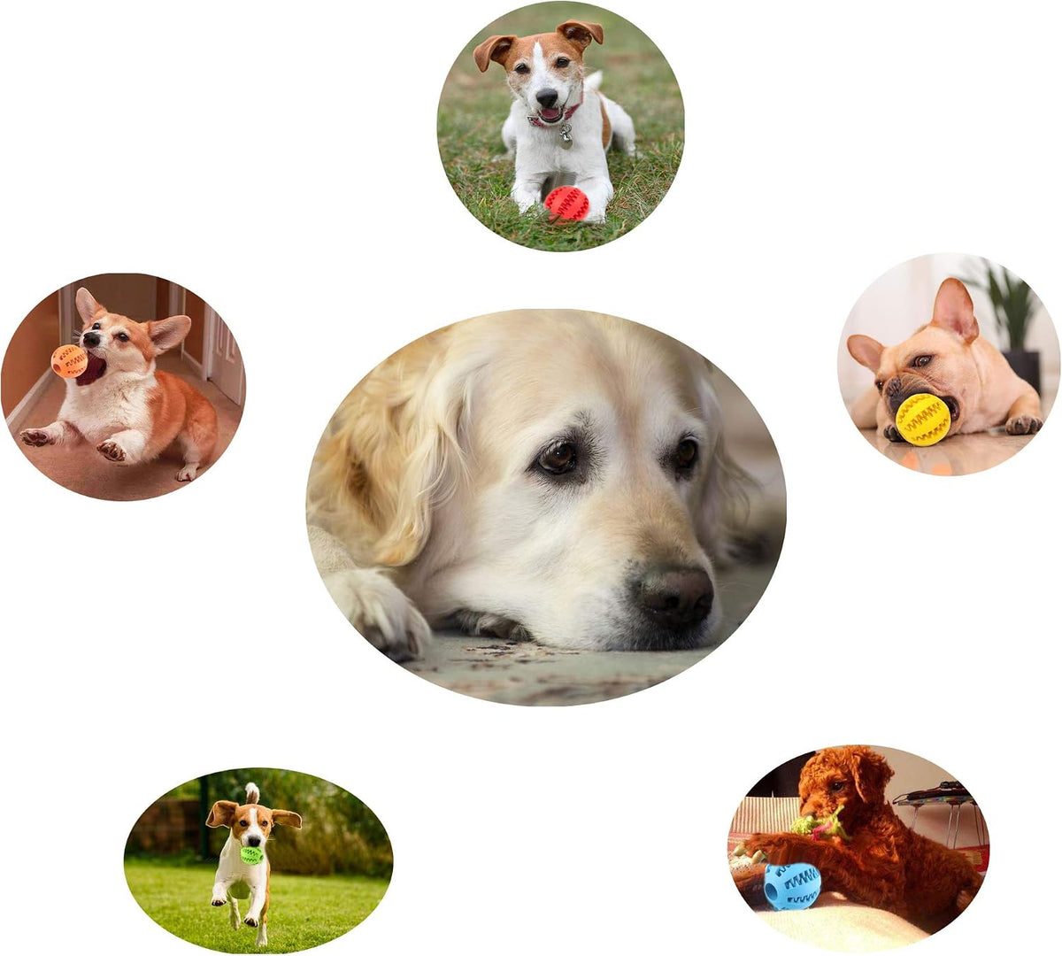 Sunglow 2 Pack Dog Toy Ball – Essentials for Dogs - Yellow/Blue / 2 in - image 4