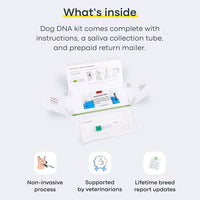 Basepaws Dog DNA Testing Kit - 300+ Breeds, 280+ Health Risks, and 30+ Traits - Comprehensive Mixed Breed Identification, Pet DNA Test kit, Canine Genetic Ancestry and Heritage