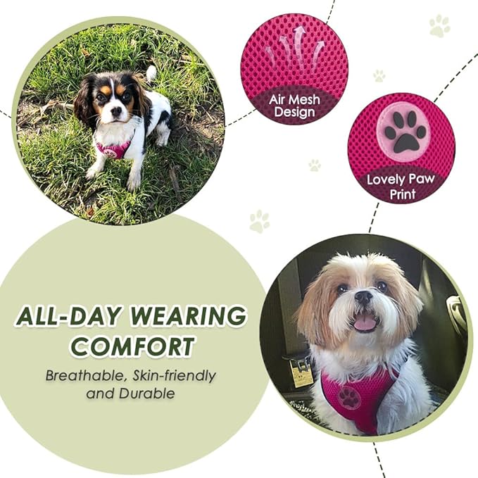 SlowTon Dog Seat Belt Harness for Car, Dog Car Harness Adjustable Mesh Breathable & Dog Seatbelt Safety Tether with Elastic Bungee for Small Medium Large Pets(Fuchsia, Double Clip, S)
