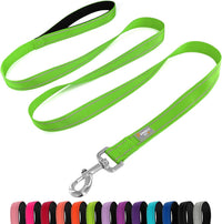 6 FT Basic Dog Leash for Medium Dogs - Refl Green / Medium : 3/4" x 6 FT