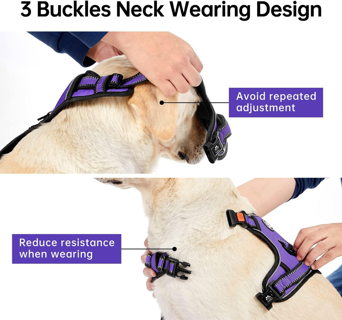 IVY&LANE No Pull Dog Harness for Medium Dogs - Purple / X-Large - image 4