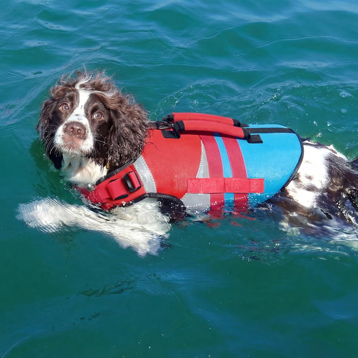 Kuoser Dog Life Jacket with Rescue Handle - Xx-large (Chest Girth:30.7-38.5'') / Red & Navy - image 4