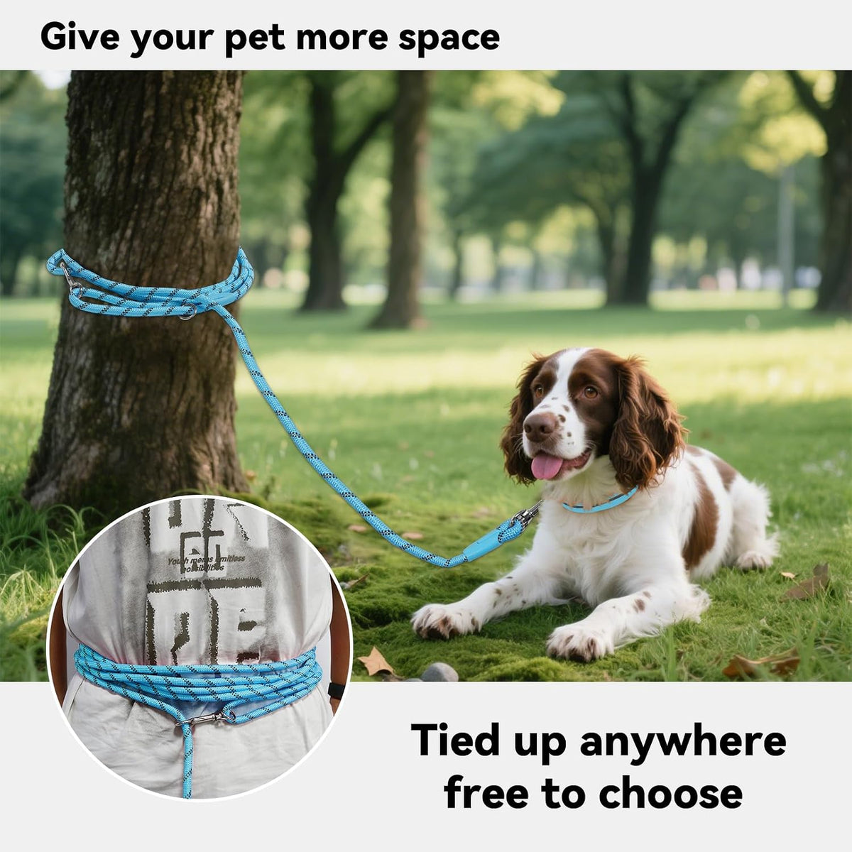 Long Dog Training Leash，Heavy Duty Reflective Rope Lead for Small - Blue / 30FT - image 2