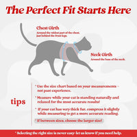 rabbitgoo Cat Harness and Leash Set, Step-in Soft Vest - L / Red - image 2