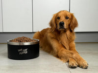 Tuff Pupper 100 oz Heavy Duty Insulated Stainless Steel Dog Bowl - 188oz / Epic Black - image 2