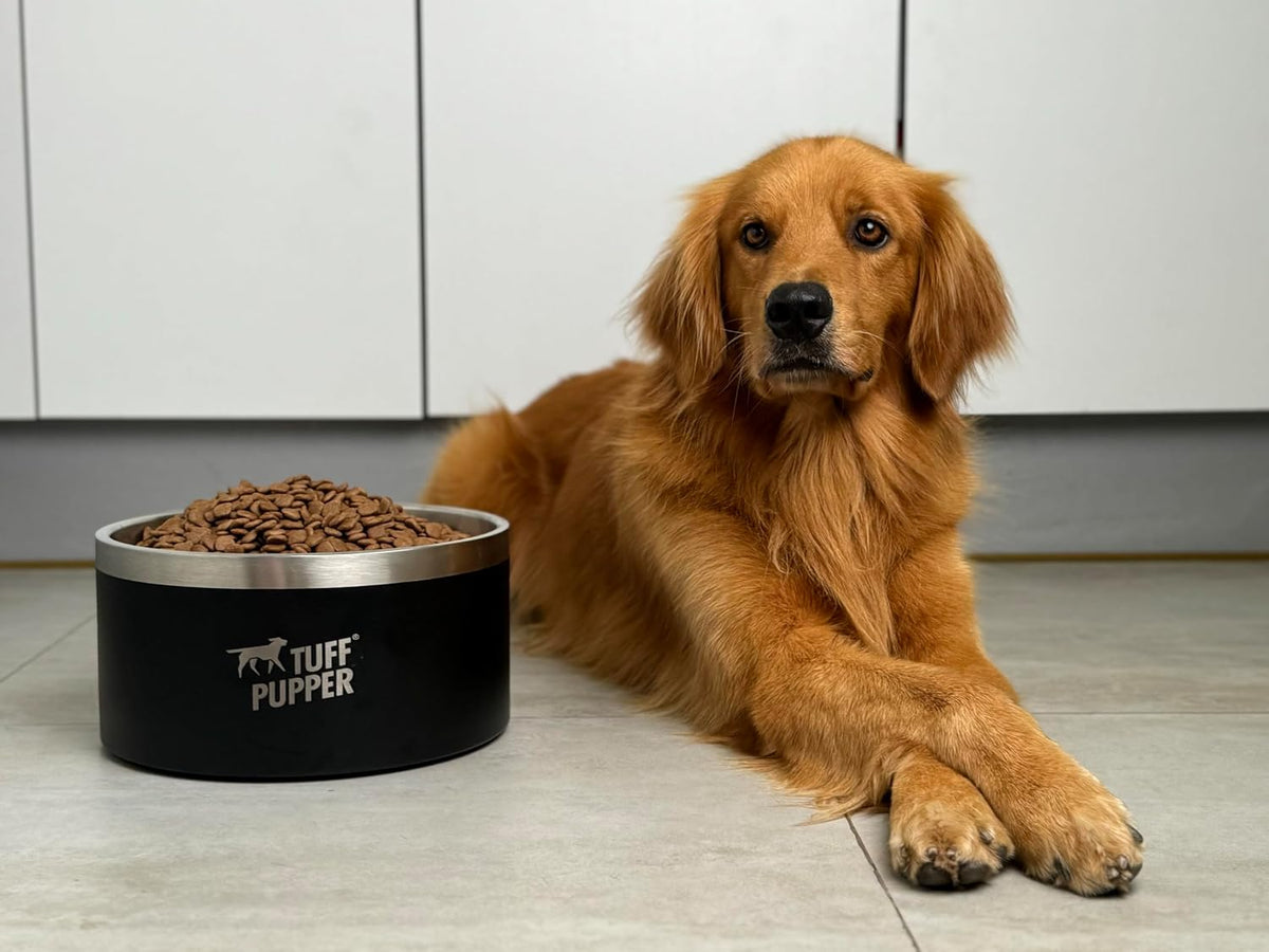 Tuff Pupper 100 oz Heavy Duty Insulated Stainless Steel Dog Bowl - 188oz / Epic Black - image 2